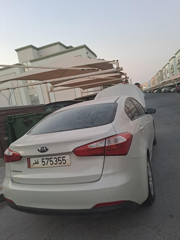 car used ledis driver - 2