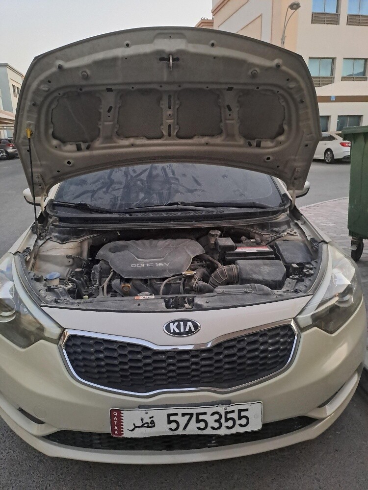car used ledis driver - 3