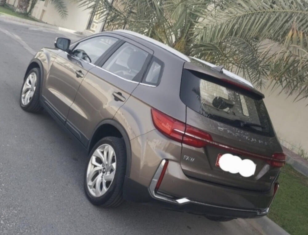 بيستون T33 model 2021 - 5