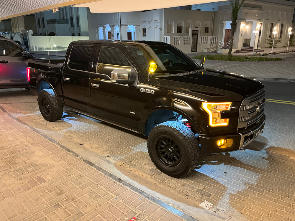 فورد ١٥٠ بلاتينيوم  - 3