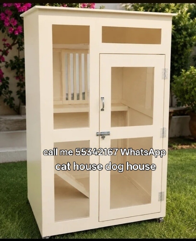 call me WhatsApp cat house no - 26