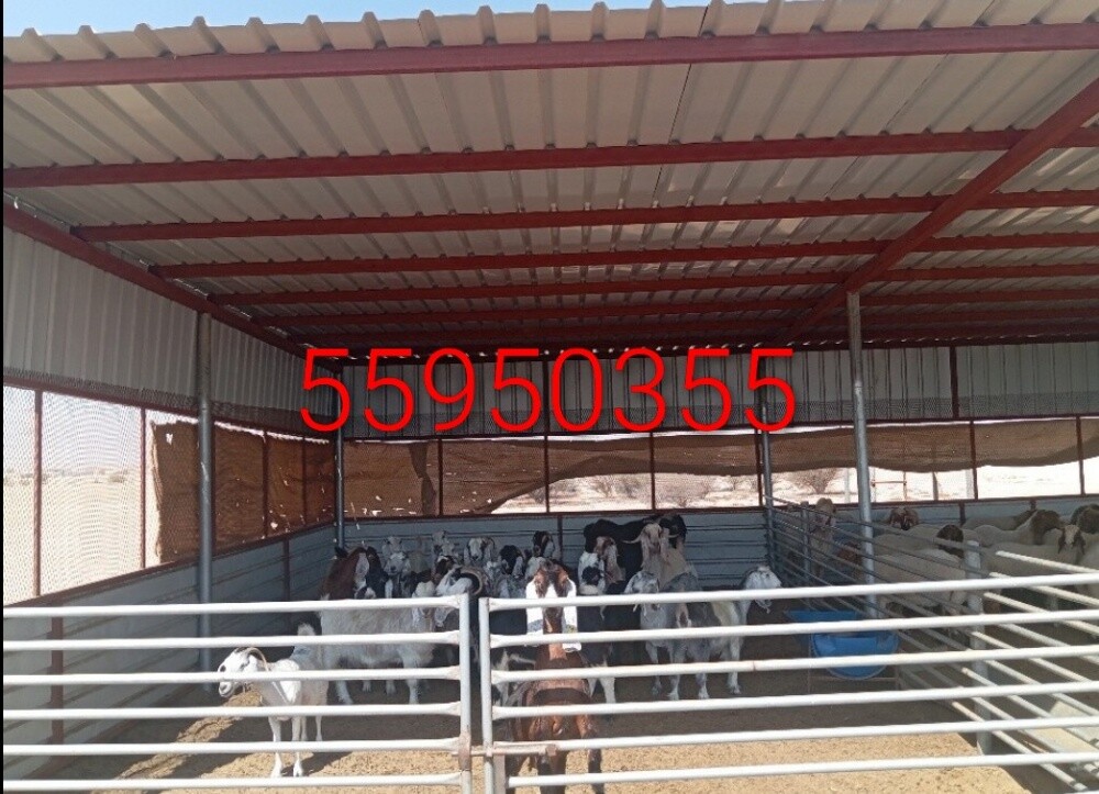 Camal home - 10