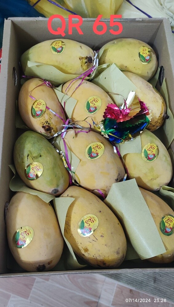 Honey Sweet Chaunsa Mango Available - 3