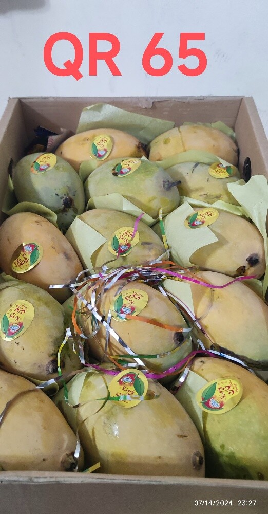 Honey Sweet Chaunsa Mango Available - 5