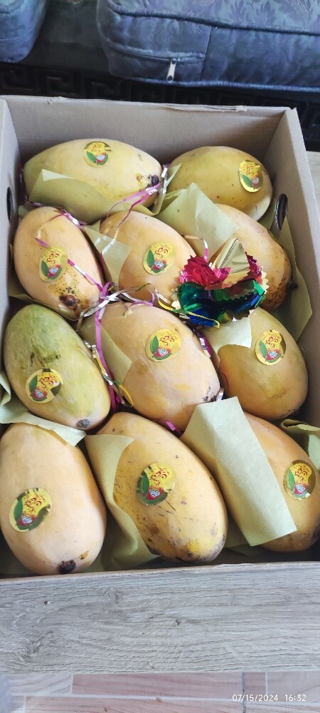 Honey Sweet Chaunsa Mango Available - 1