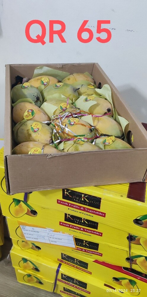 Honey Sweet Chaunsa Mango Available - 6