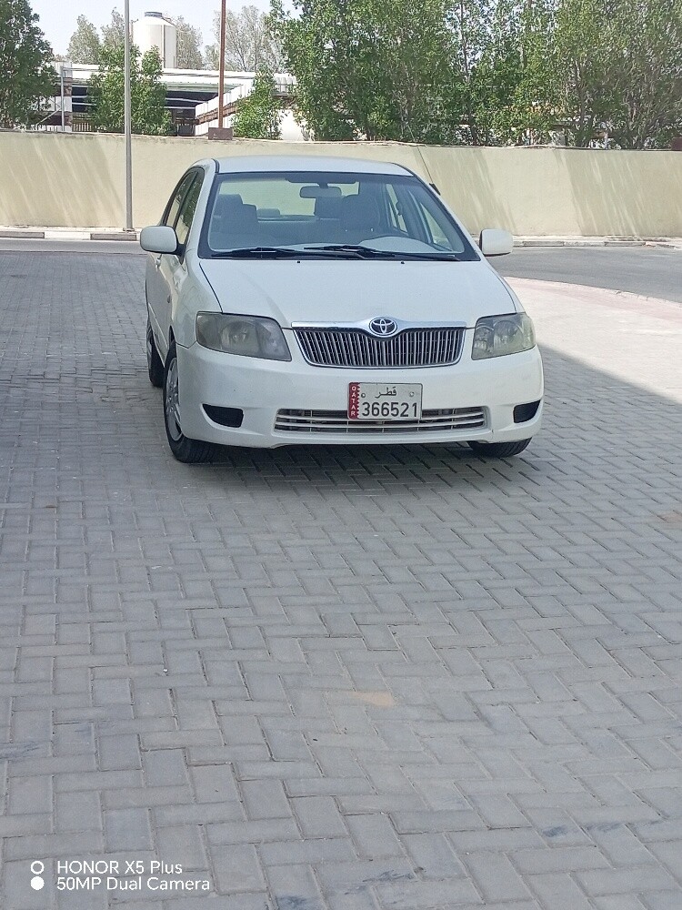 كوريلا 2007 - 3
