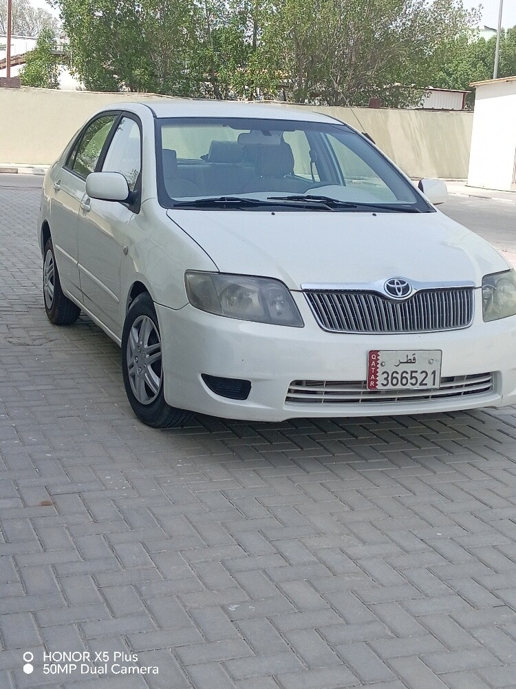 كوريلا 2007 - 2