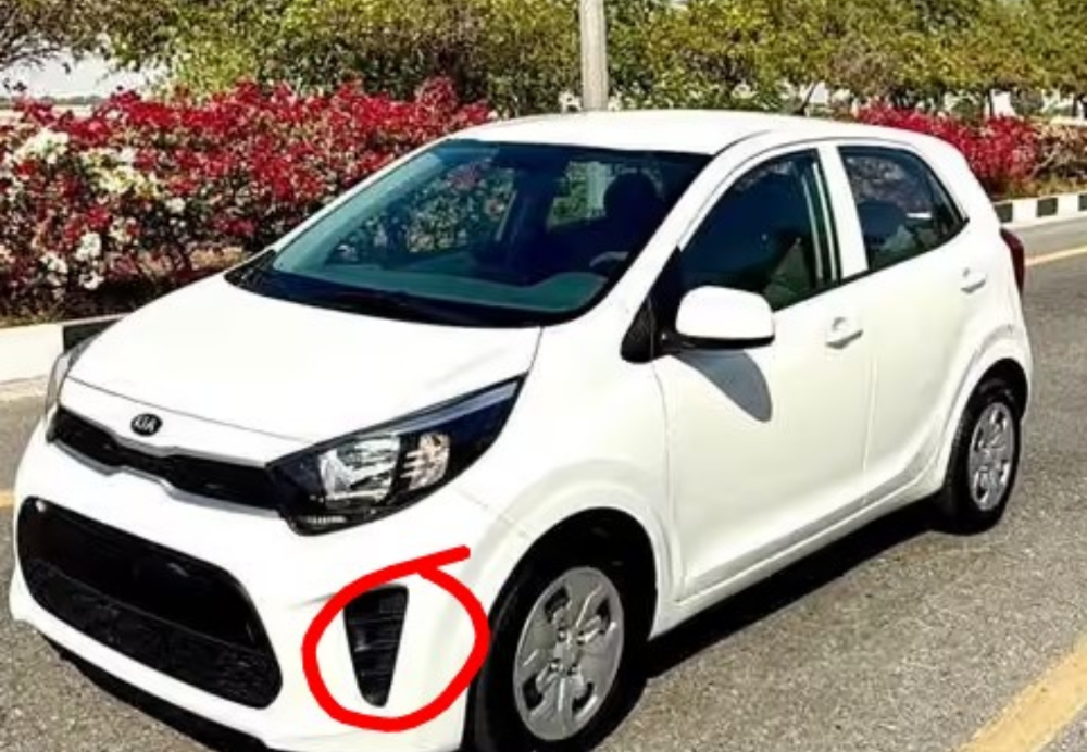 Kia picanto - 1