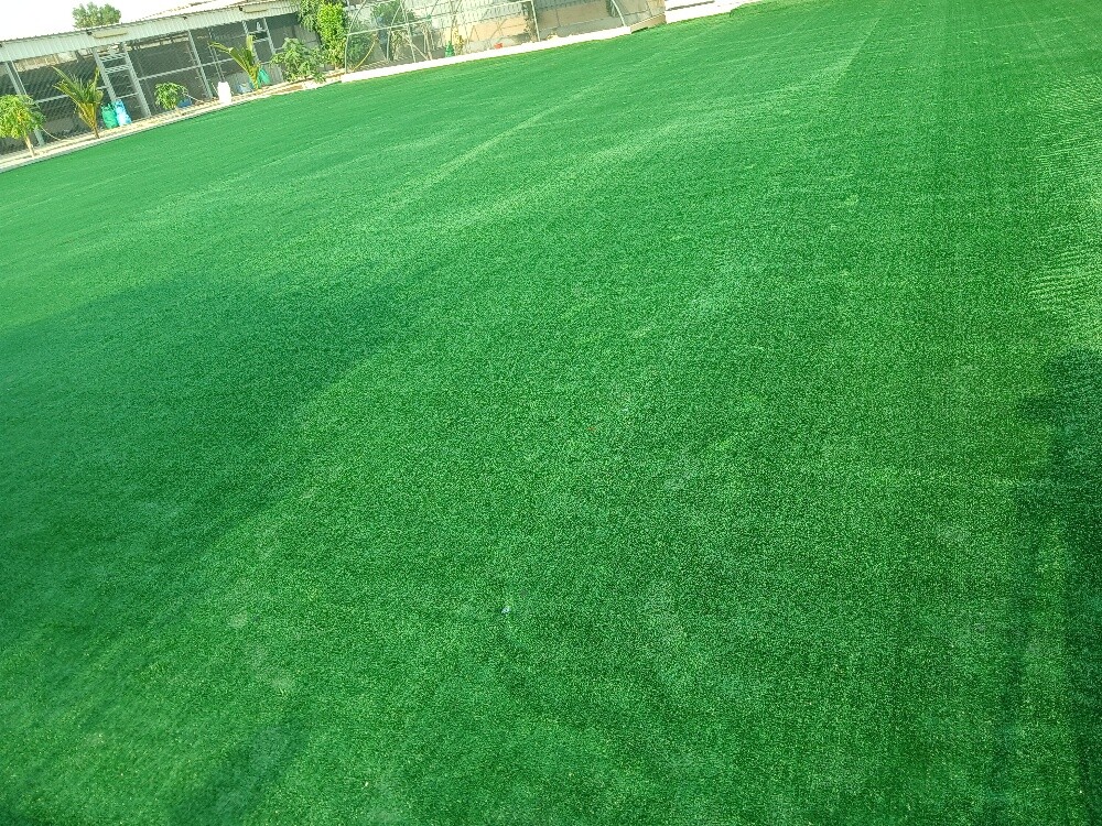 Artificial grass, grass carpet - 13