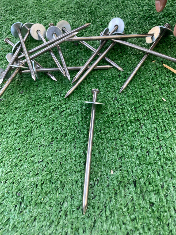 Grass carper  - 7