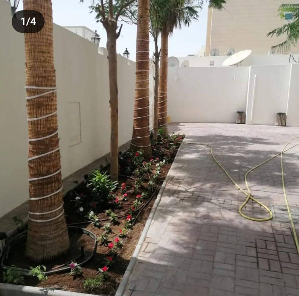 مهندس زراعي  - 4