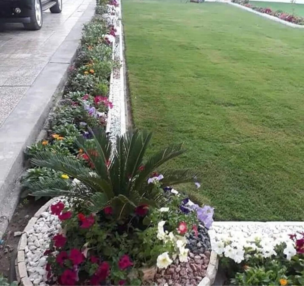 مهندس زراعي  - 6