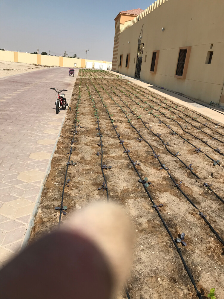 شبكات ري  - 4