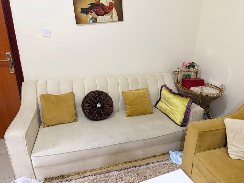 velvet sofa - 4