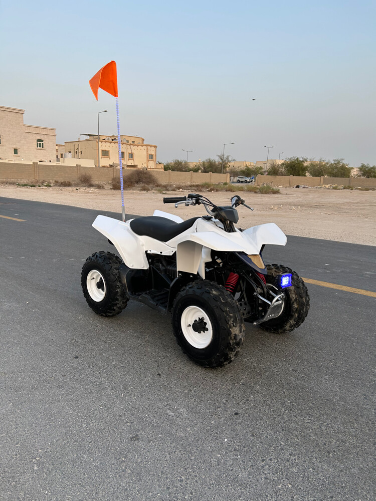 Suzuki 90cc - 10