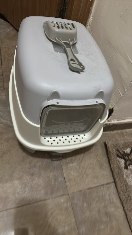 House-shaped litter box and storage - 2