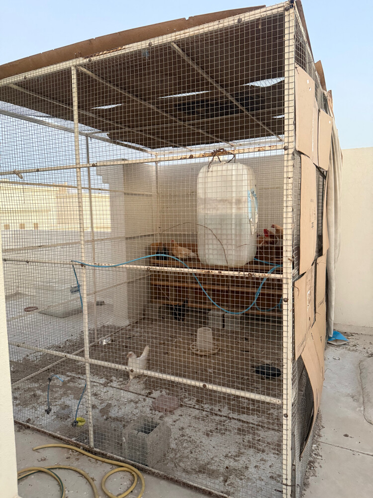 Two large bird cages for sale urgen - 2