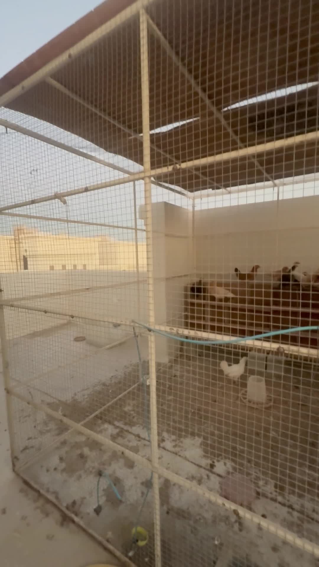 Two large bird cages for sale urgen - 3