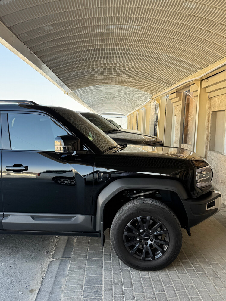 ليوبارد 2025 - 1