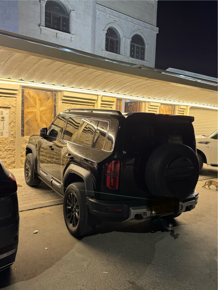ليوبارد 2025 - 11