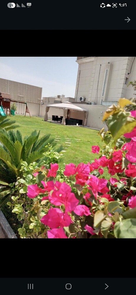 مهندس زراعي ومنسق حدائق - 2