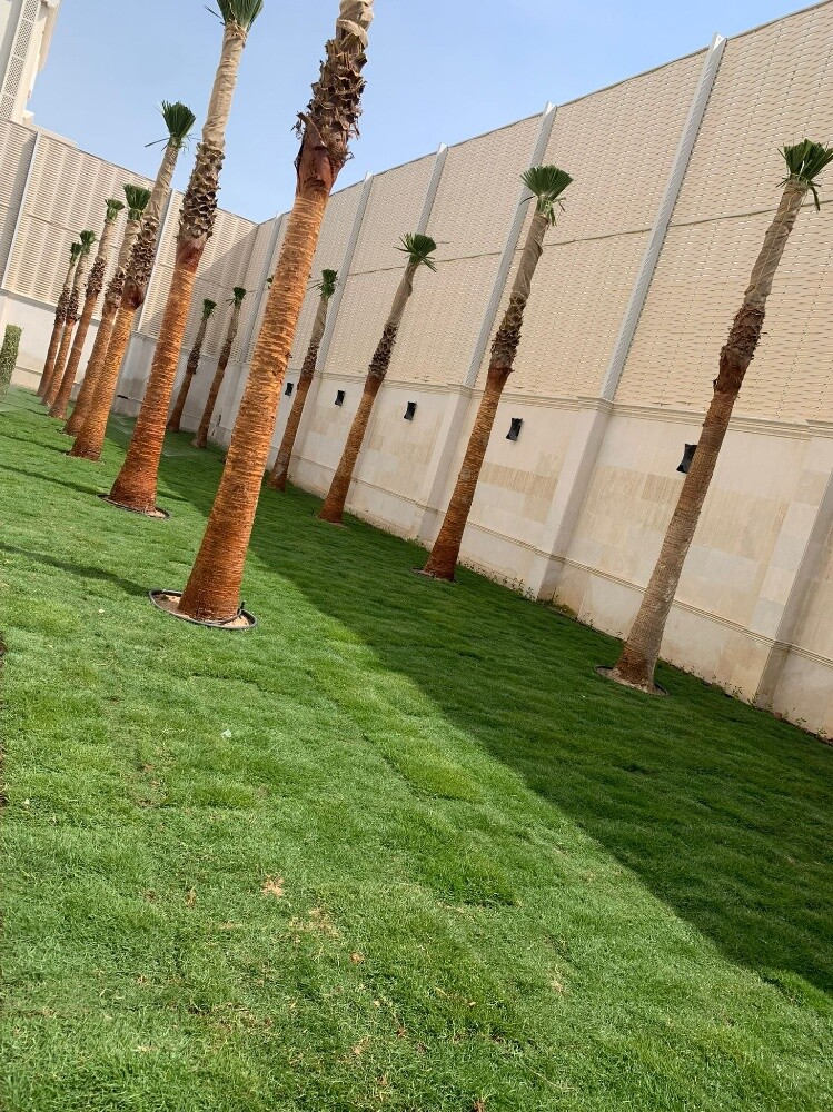 منسق حدائق٦٦٣٣١٥٦٧ - 6