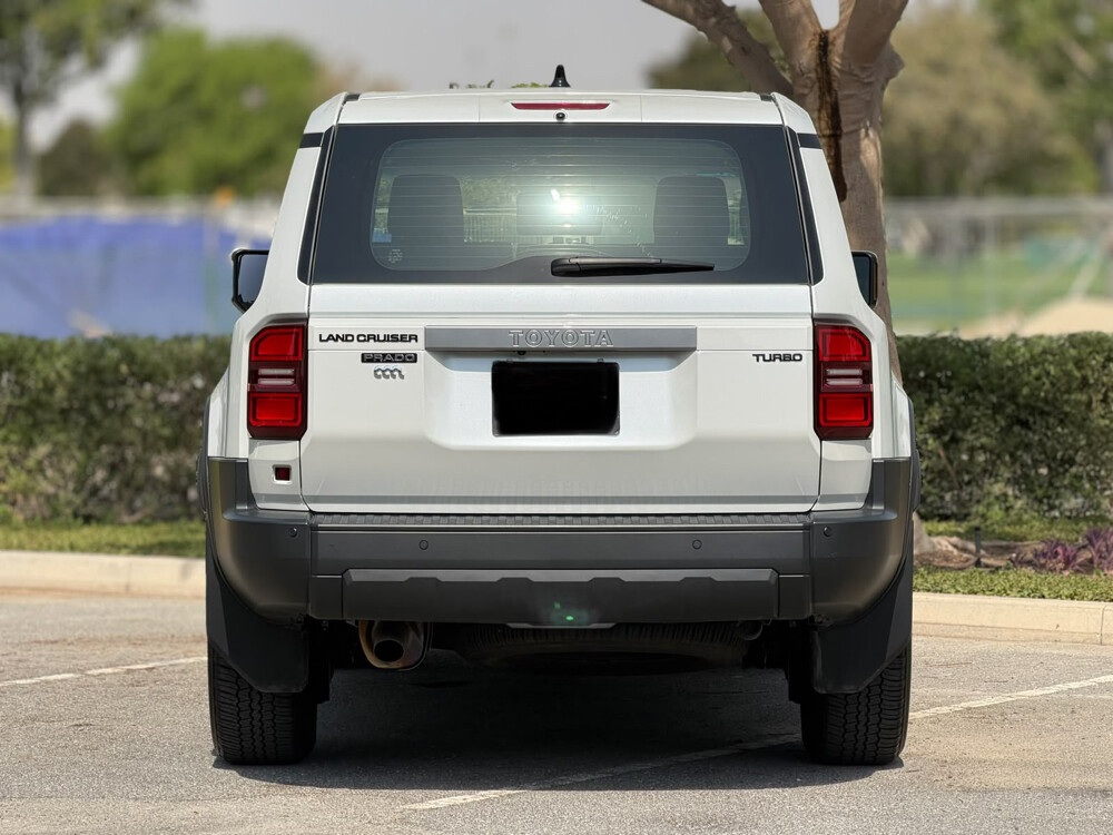 PRADO 2025 - 12