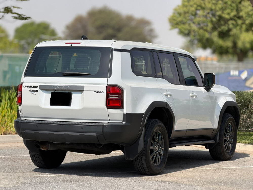 PRADO 2025 - 10