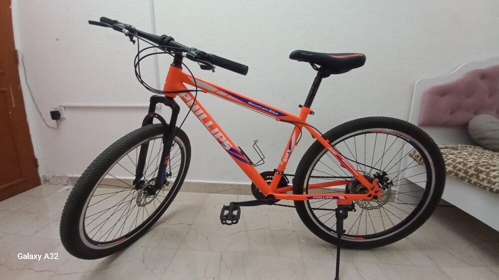 mountain bike - 1