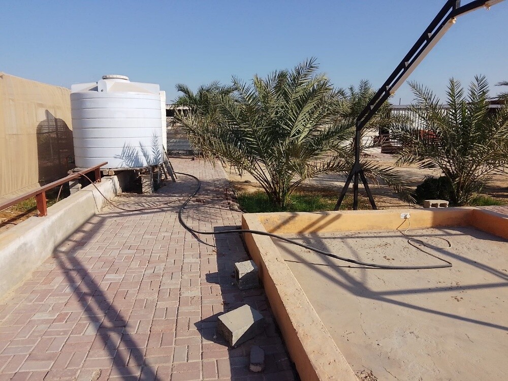 عزبة سمسمه - 3