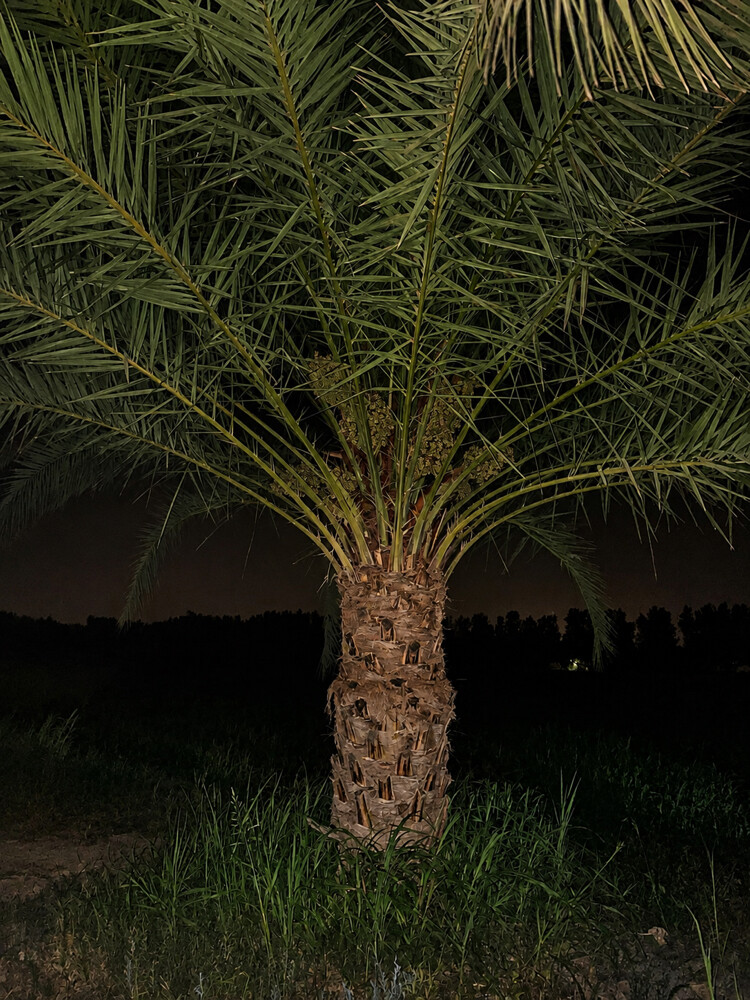 للبيع - 3