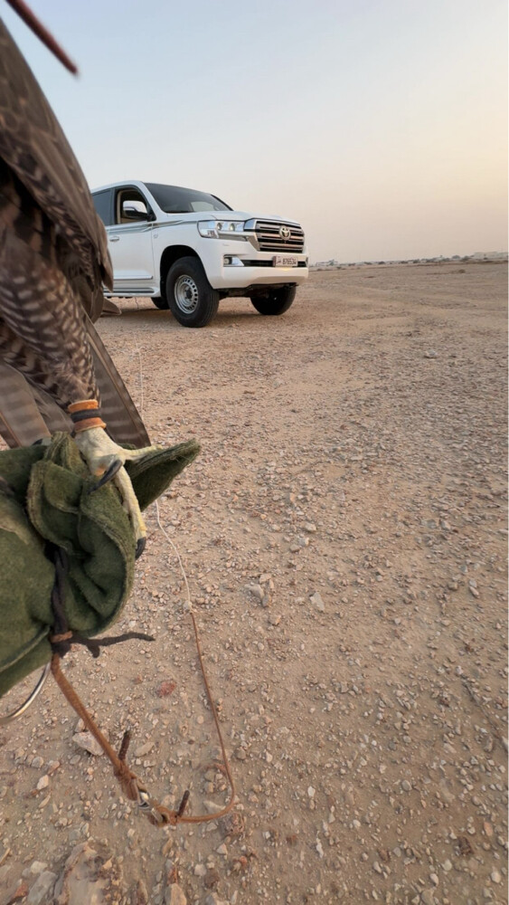 مطلوب طير اقرأ الوصف - 1