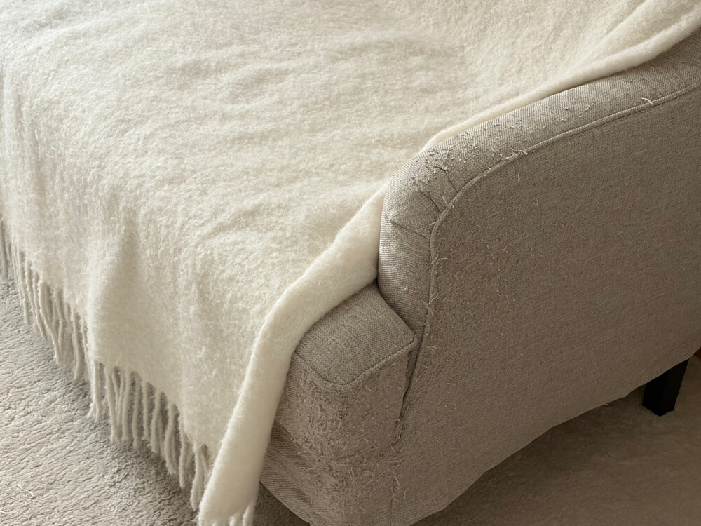 sofa - 2