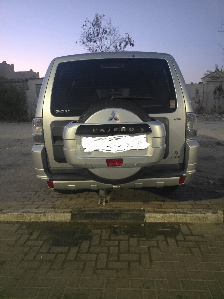 للتواصل 66325061 - 2