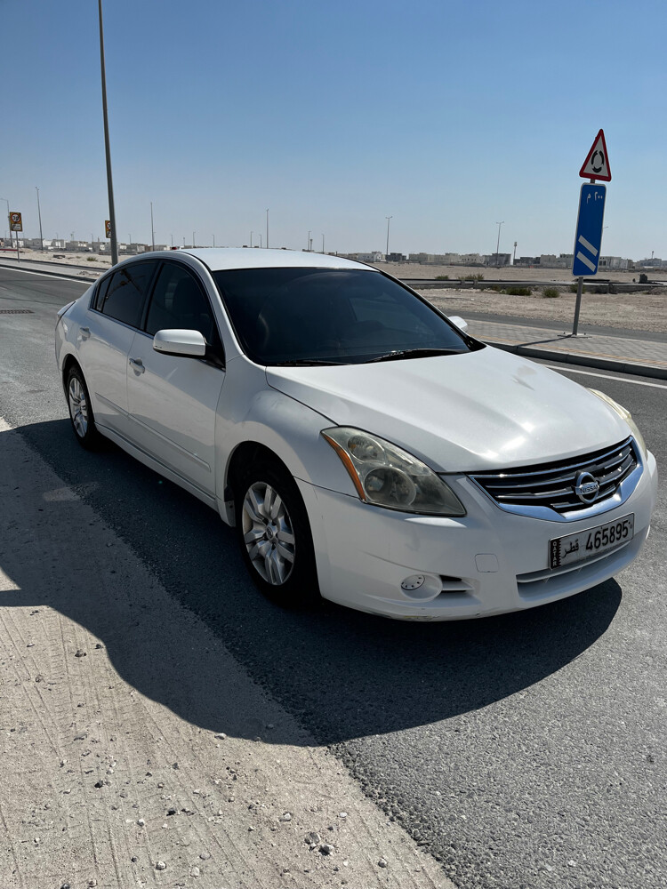 التيما - 2