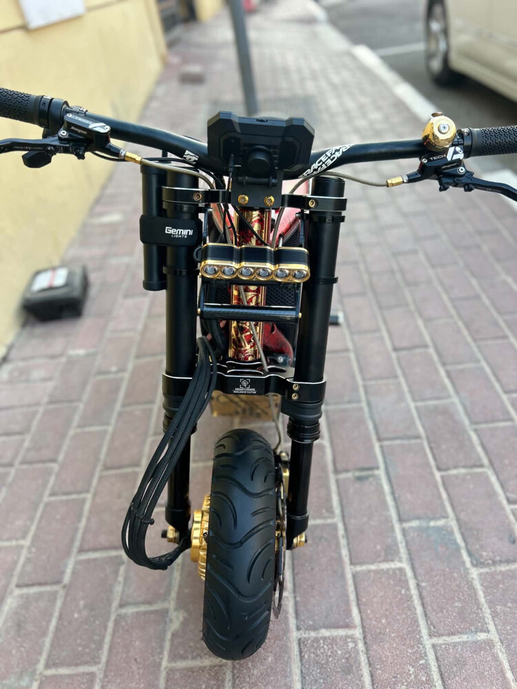 scooter costume made - 11
