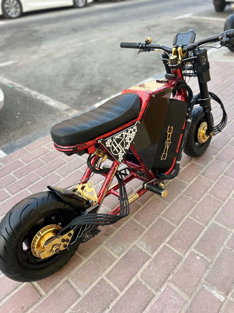 scooter costume made - 2