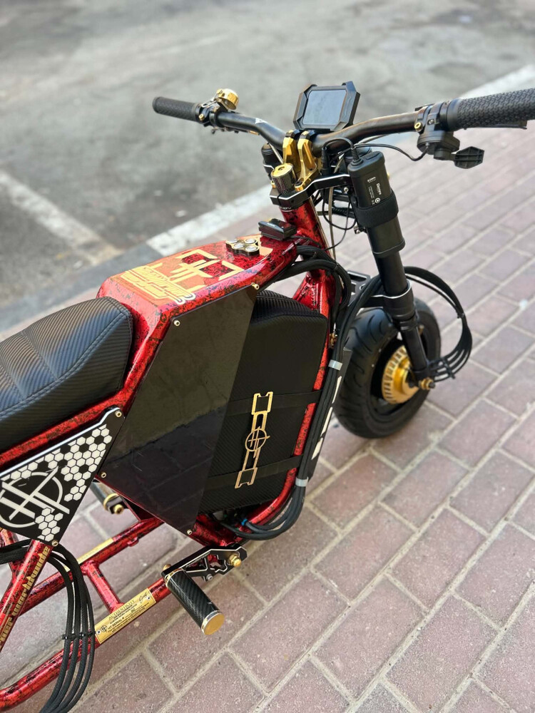 scooter costume made - 9