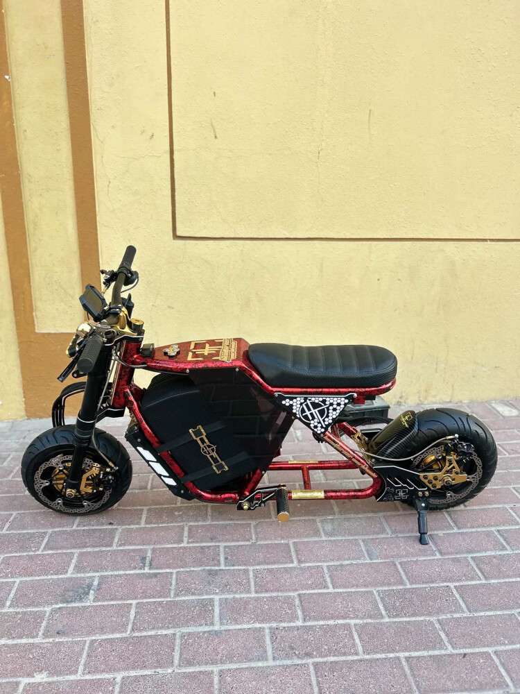 scooter costume made - 1
