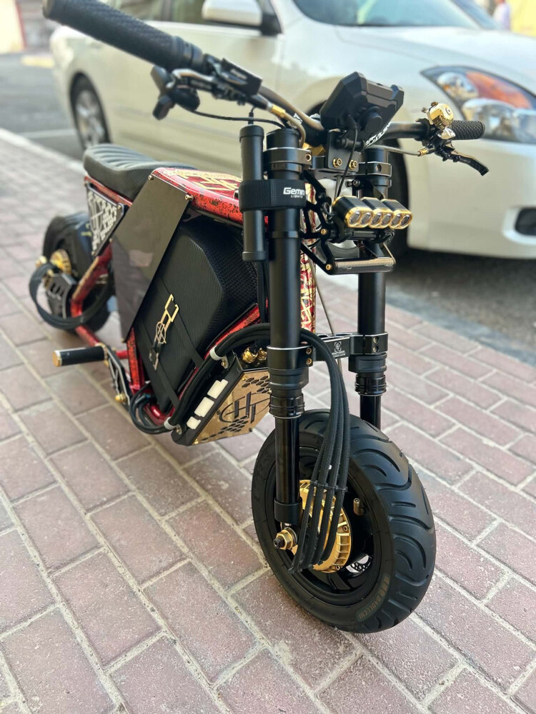 scooter costume made - 3