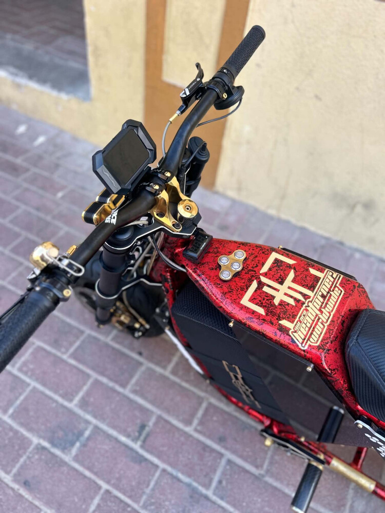 scooter costume made - 4