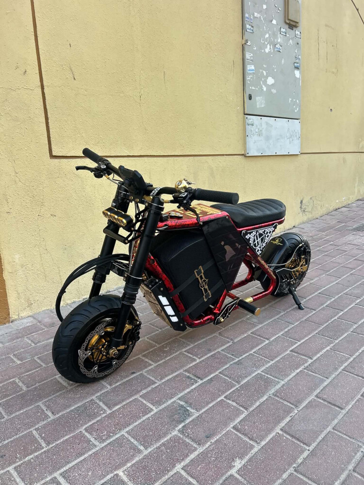 scooter costume made - 6