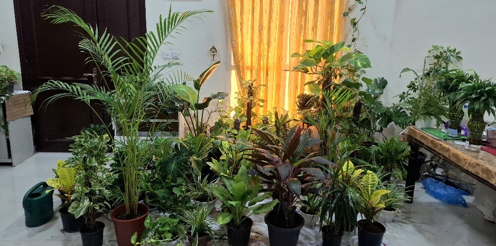 تصفية بمناسبة مغادرة قطر! | نباتا - 20