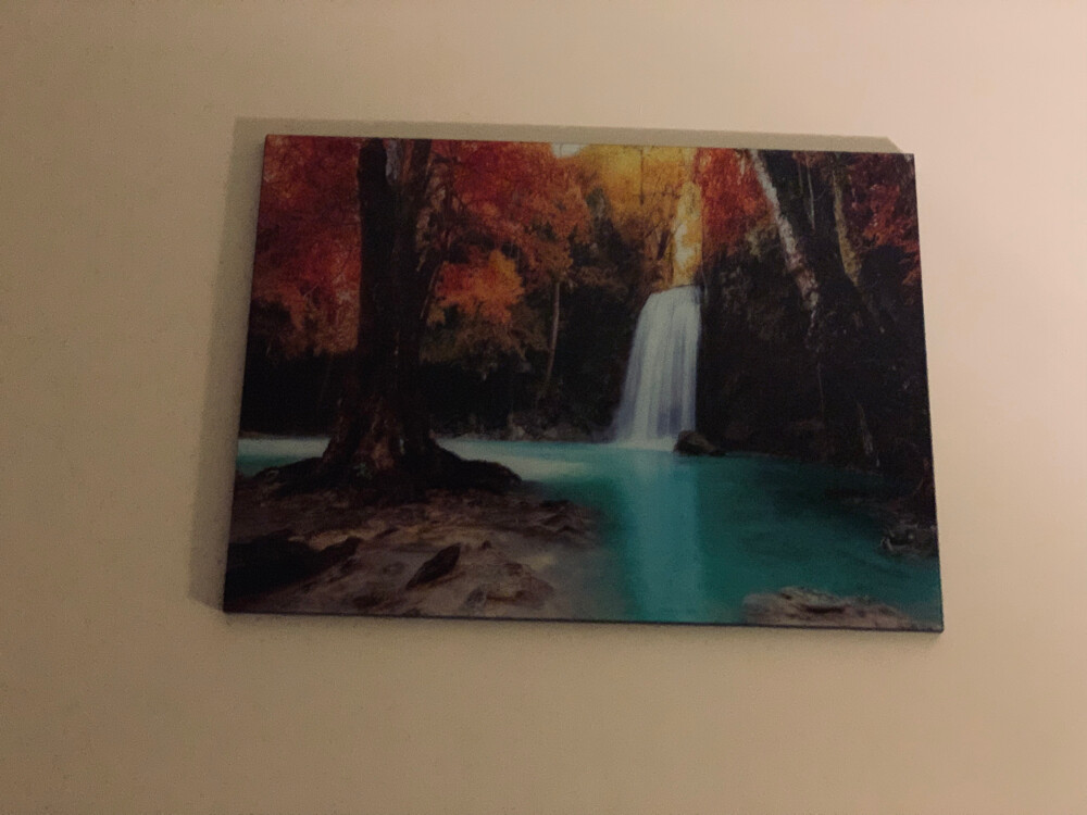 Paintings and Decor - 2