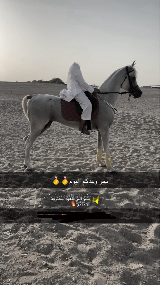 فحل مصري طوع - 1
