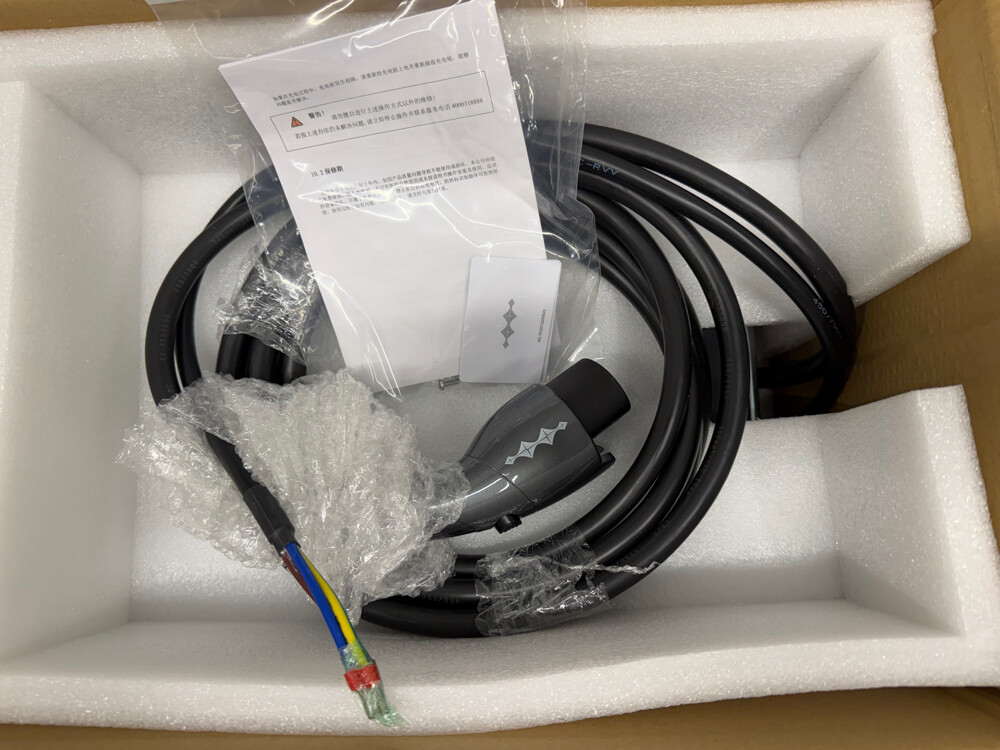 BYD - Charger EV - 3