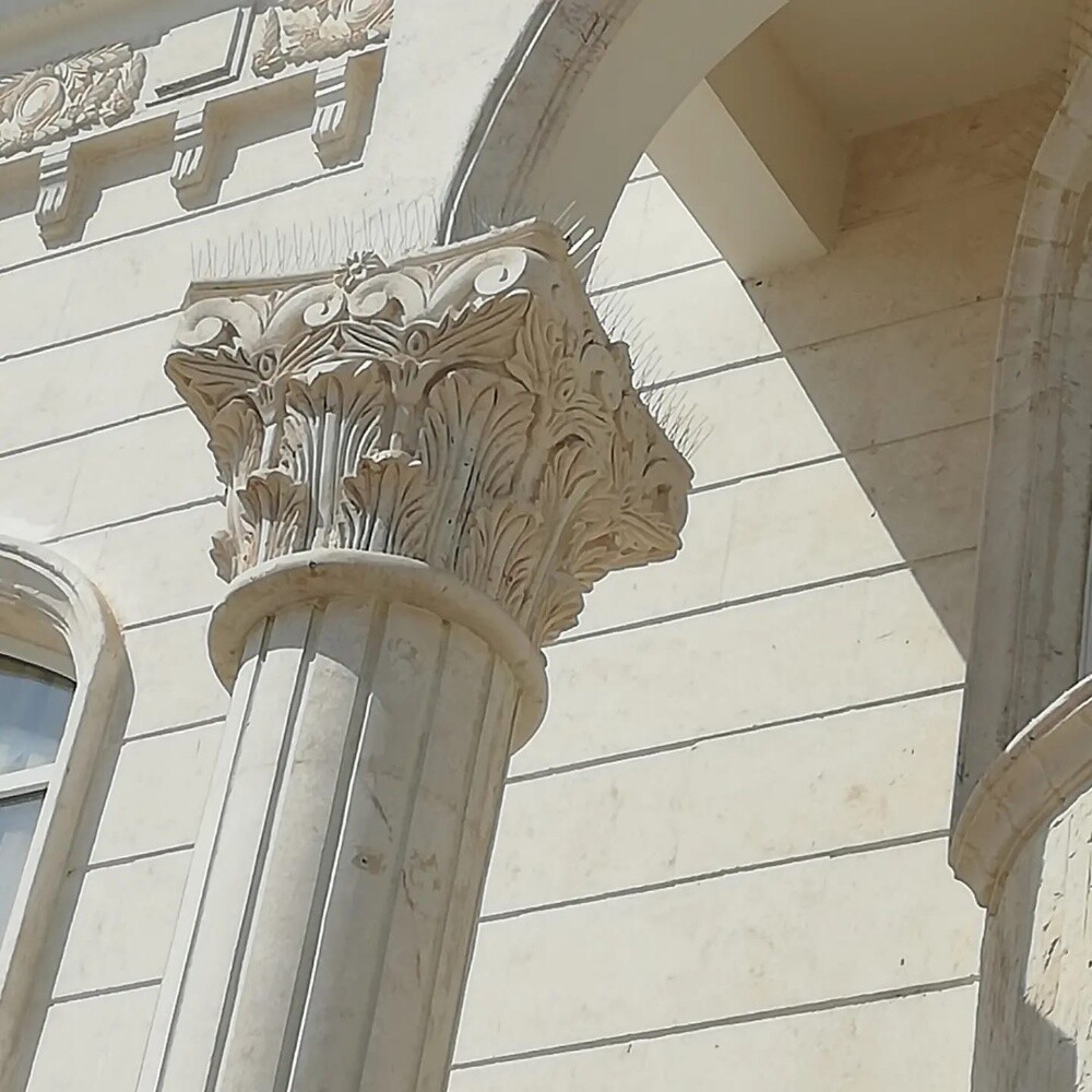طارد الطيور والحمام 55270957 - 18