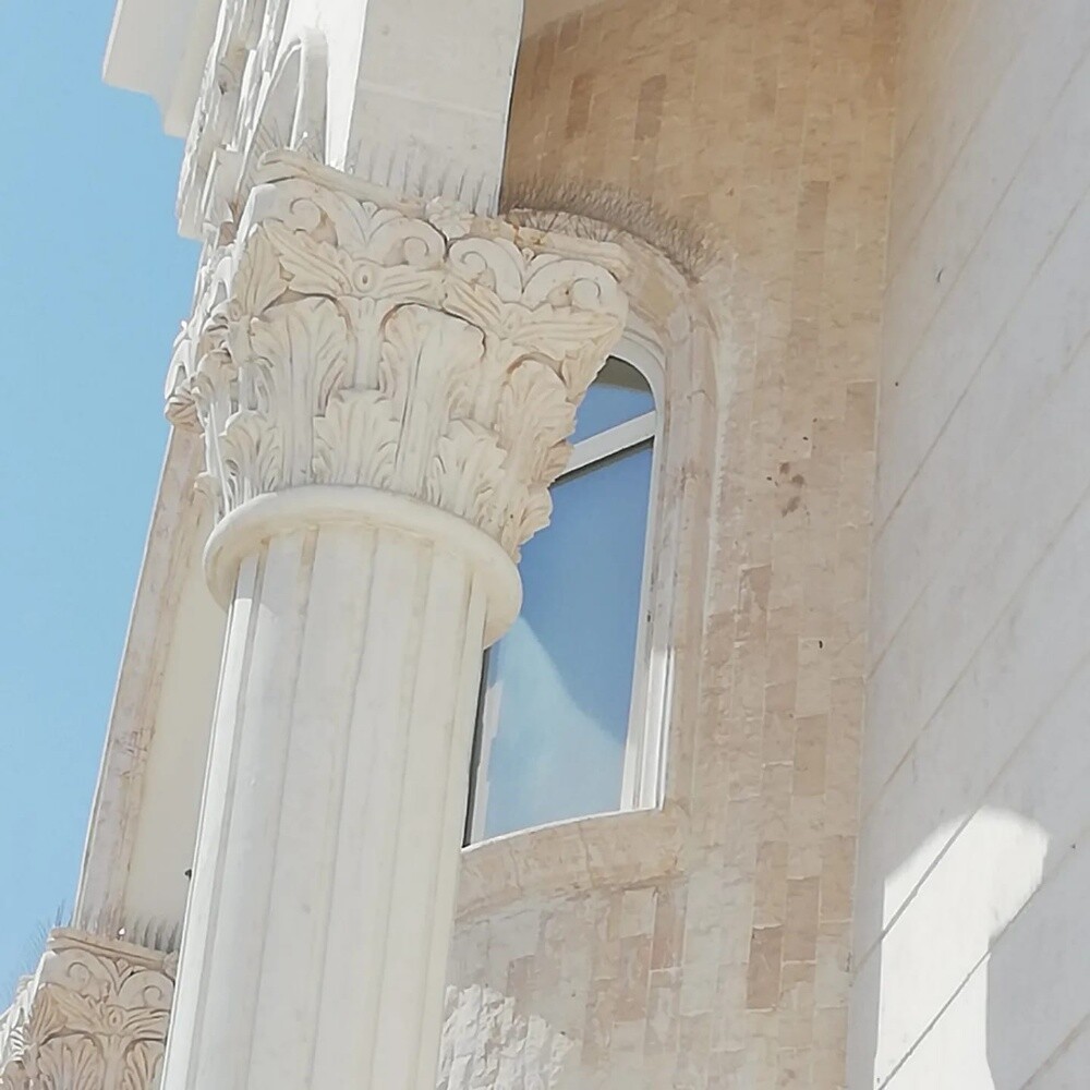 طارد الطيور والحمام 55270957 - 21