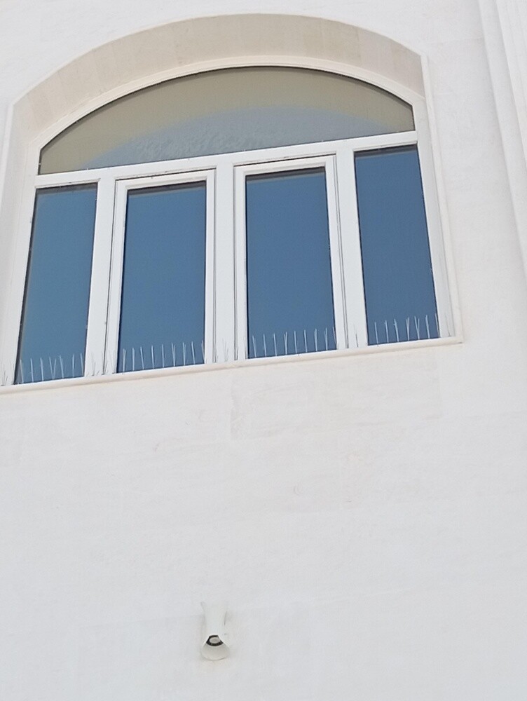 طارد الطيور والحمام 55270957 - 11